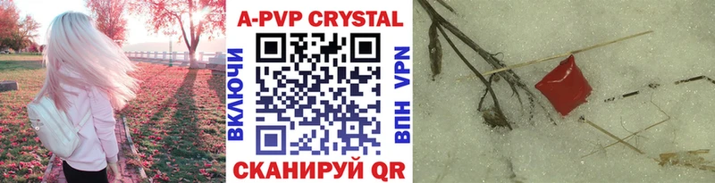A PVP СК КРИС  Нальчик 