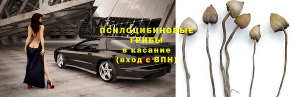 индика Абдулино