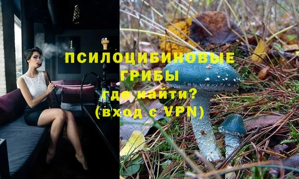 индика Абдулино