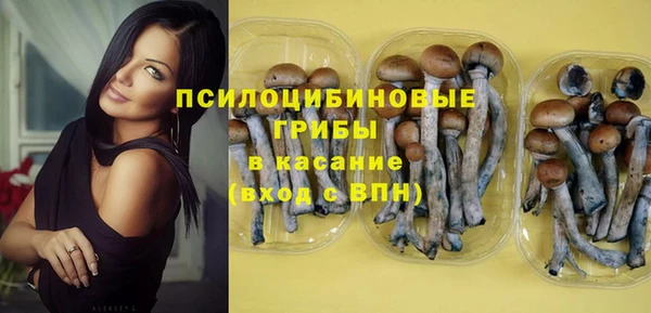 МДПВ Абинск