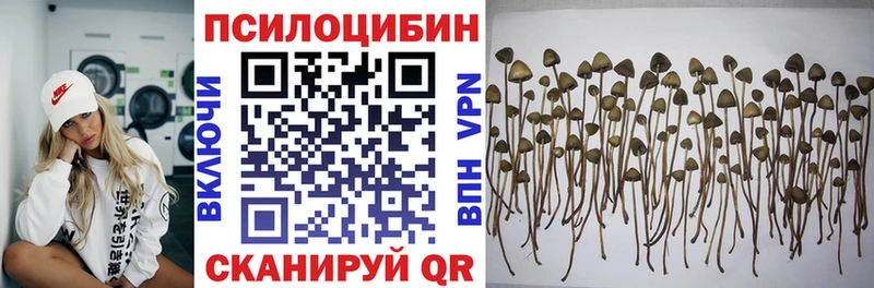 Галлюциногенные грибы Psilocybine cubensis  ОМГ ОМГ рабочий сайт  Нальчик 