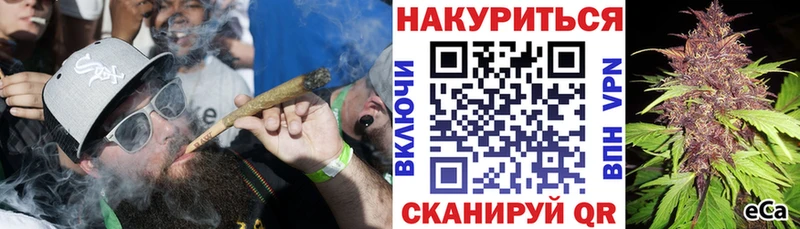 Бошки марихуана гибрид  цена наркотик  Нальчик 